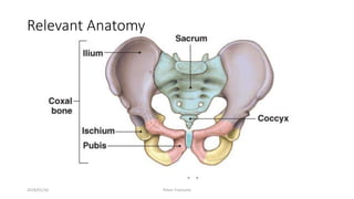 Relevant Anatomy
2018/01/16 Pelvic Fractures
 