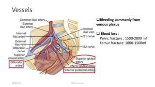 Vessels
Bleeding commonly from
venous plexus
 Blood loss :
Pelvic fracture : 1500-2000 ml
Femur fracture: 1000-1500ml
2018/01/16 Pelvic Fractures
 