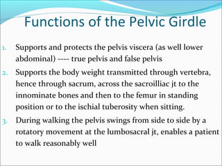 Pelvic girdle, Femur, Sacroiliac joint and Hip Joint | PPT