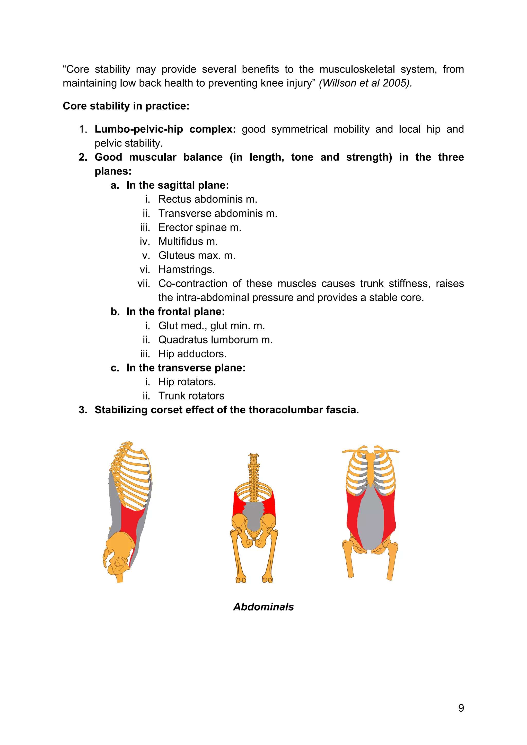 Pelvic, Hip and Core Stability | PDF