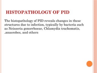 HISTOPATHOLOGY OF PID
The histopathology of PID reveals changes in these
structures due to infection, typically by bacteria such
as Neisseria gonorrhoeae, Chlamydia trachomatis,
anaerobes, and others
.
 