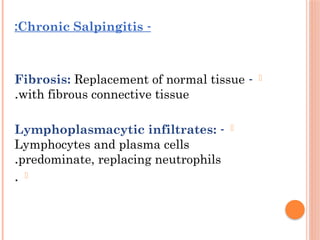 -
Chronic Salpingitis
:
-
-
Fibrosis: Replacement of normal tissue
with fibrous connective tissue
.
-
-
Lymphoplasmacytic infiltrates:
Lymphocytes and plasma cells
predominate, replacing neutrophils
.
-
.
 