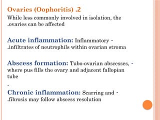 2
.
Ovaries (Oophoritis)
While less commonly involved in isolation, the
ovaries can be affected
.
-
Acute inflammation: Inflammatory
infiltrates of neutrophils within ovarian stroma
.
-
Abscess formation: Tubo-ovarian abscesses,
where pus fills the ovary and adjacent fallopian
tube
.
-
Chronic inflammation: Scarring and
fibrosis may follow abscess resolution
.
 