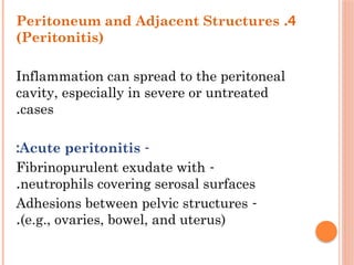 4
.
Peritoneum and Adjacent Structures
(Peritonitis)
Inflammation can spread to the peritoneal
cavity, especially in severe or untreated
cases
.
-
Acute peritonitis
:
-
Fibrinopurulent exudate with
neutrophils covering serosal surfaces
.
-
Adhesions between pelvic structures
(e.g., ovaries, bowel, and uterus)
.
 