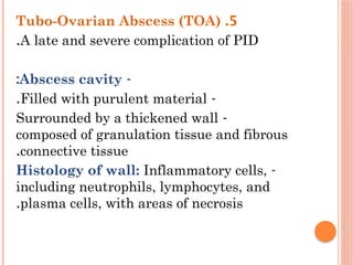 5
.
Tubo-Ovarian Abscess (TOA)
A late and severe complication of PID
.
-
Abscess cavity
:
-
Filled with purulent material
.
-
Surrounded by a thickened wall
composed of granulation tissue and fibrous
connective tissue
.
-
Histology of wall: Inflammatory cells,
including neutrophils, lymphocytes, and
plasma cells, with areas of necrosis
.
 