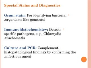Special Stains and Diagnostics
-
Gram stain: For identifying bacterial
organisms like gonococci
.
-
Immunohistochemistry: Detects
specific pathogens, e.g., Chlamydia
trachomatis
.
-
Culture and PCR: Complement
histopathological findings by confirming the
infectious agent
.
 