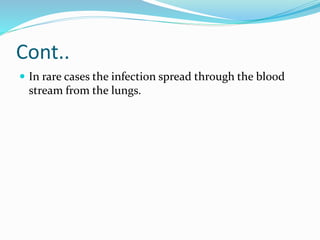 Cont..
 In rare cases the infection spread through the blood
stream from the lungs.
 
