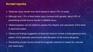 Testicle Injuries Pelvic injuries and associated injuries | PPTX