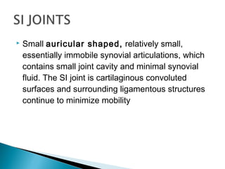  Small auricular shaped, relatively small,
essentially immobile synovial articulations, which
contains small joint cavity and minimal synovial
fluid. The SI joint is cartilaginous convoluted
surfaces and surrounding ligamentous structures
continue to minimize mobility
 