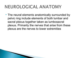  The neural elements anatomically surrounded by
pelvic ring include elements of both lumbar and
sacral plexus together taken as lumbosacral
plexus. Primarily the nerves that arise from these
plexus are the nerves to lower extremities
 