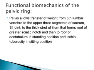  Pelvis allows transfer of weight from 5th lumbar
vertebra to the upper three segments of sacrum,
SI joint, to the thick strut of ilium that forms roof of
greater sciatic notch and then to roof of
acetabulum in standing position and ischial
tuberosity in sitting position
 