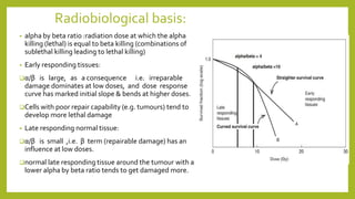 • alpha by beta ratio :radiation dose at which the alpha
killing (lethal) is equal to beta killing (combinations of
sublethal killing leading to lethal killing)
• Early responding tissues:
α/β is large, as a consequence i.e. irreparable
damage dominates at low doses, and dose response
curve has marked initial slope & bends at higher doses.
Cells with poor repair capability (e.g. tumours) tend to
develop more lethal damage
• Late responding normal tissue:
α/β is small ,i.e. β term (repairable damage) has an
influence at low doses.
normal late responding tissue around the tumour with a
lower alpha by beta ratio tends to get damaged more.
Radiobiological basis:
 