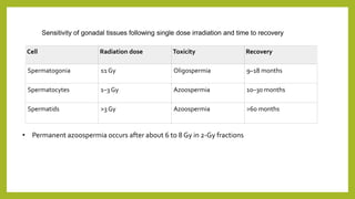 Cell Radiation dose Toxicity Recovery
Spermatogonia ≤1 Gy Oligospermia 9–18 months
Spermatocytes 1–3 Gy Azoospermia 10–30 months
Spermatids >3 Gy Azoospermia >60 months
Sensitivity of gonadal tissues following single dose irradiation and time to recovery
• Permanent azoospermia occurs after about 6 to 8 Gy in 2-Gy fractions
 