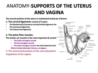 ANATOMY-SUPPORTS OF THE UTERUS
AND VAGINA
The normal position of the uterus is maintained mainly by 3 factors:
1. The cerv...