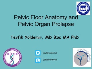 Pelvic Floor Anatomy and
Pelvic Organ Prolapse
Tevfik Yoldemir, MD BSc MA PhD
yoldemirtevfik
tevfikyoldemir
 