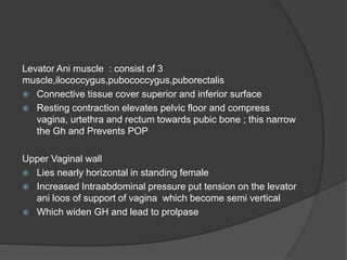 Levator Ani muscle : consist of 3
muscle,ilococcygus,pubococcygus,puborectalis
 Connective tissue cover superior and inferior surface
 Resting contraction elevates pelvic floor and compress
vagina, urtethra and rectum towards pubic bone ; this narrow
the Gh and Prevents POP
Upper Vaginal wall
 Lies nearly horizontal in standing female
 Increased Intraabdominal pressure put tension on the levator
ani loos of support of vagina which become semi vertical
 Which widen GH and lead to prolpase
 