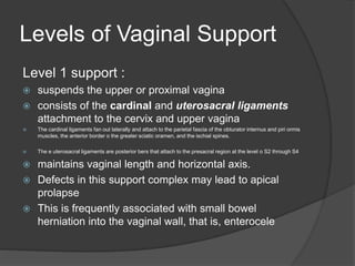 Levels of Vaginal Support
Level 1 support :
 suspends the upper or proximal vagina
 consists of the cardinal and uterosacral ligaments
attachment to the cervix and upper vagina
 The cardinal ligaments fan out laterally and attach to the parietal fascia of the obturator internus and piri ormis
muscles, the anterior border o the greater sciatic oramen, and the ischial spines.
 The e uterosacral ligaments are posterior bers that attach to the presacral region at the level o S2 through S4
 maintains vaginal length and horizontal axis.
 Defects in this support complex may lead to apical
prolapse
 This is frequently associated with small bowel
herniation into the vaginal wall, that is, enterocele
 