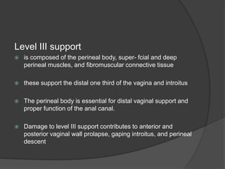 Level III support
 is composed of the perineal body, super- fcial and deep
perineal muscles, and fibromuscular connective tissue
 these support the distal one third of the vagina and introitus
 The perineal body is essential for distal vaginal support and
proper function of the anal canal.
 Damage to level III support contributes to anterior and
posterior vaginal wall prolapse, gaping introitus, and perineal
descent
 
