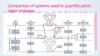 Comparison of systems used to quantify pelvic
organ prolapse
–
 
