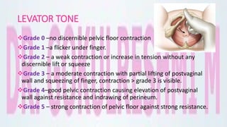 LEVATOR TONE
Grade 0 –no discernible pelvic floor contraction
Grade 1 –a flicker under finger.
Grade 2 – a weak contraction or increase in tension without any
discernible lift or squeeze
Grade 3 – a moderate contraction with partial lifting of postvaginal
wall and squeezing of finger, contraction > grade 3 is visible.
Grade 4–good pelvic contraction causing elevation of postvaginal
wall against resistance and indrawing of perineum.
Grade 5 – strong contraction of pelvic floor against strong resistance.
 