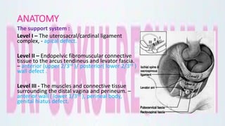 ANATOMY
The support system :
Level I – The uterosacral/cardinal ligament
complex, - apical defect.
Level II – Endopelvic fibromuscular connective
tissue to the arcus tendineus and levator fascia.
– anterior (upper 2/3rd )/ posterior( lower 2/3rd )
wall defect .
Level III - The muscles and connective tissue
surrounding the distal vagina and perineum. –
anterior wall ( lower 1/3rd ), perineal body,
genital hiatus defect.
 