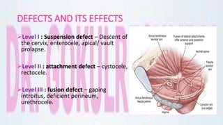 DEFECTS AND ITS EFFECTS
Level I : Suspension defect – Descent of
the cervix, enterocele, apical/ vault
prolapse.
Level II : attachment defect – cystocele,
rectocele.
Level III : fusion defect – gaping
introitus, deficient perineum,
urethrocele.
 