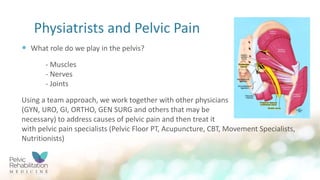 Pelvic Pain Treatment Options | PPTX