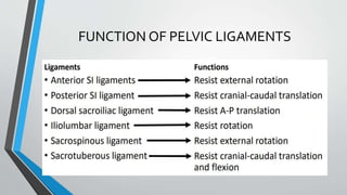 FUNCTION OF PELVIC LIGAMENTS
 
