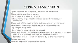 CLINICAL EXAMINATION
 