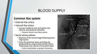BLOOD SUPPLY
 