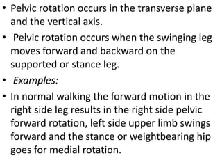 Pelvic tilt | PPTX