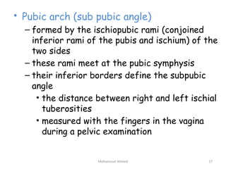 introduction of Pelvic Wall and muscle.pptx