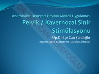Op.Dr.Ege Can Şerefoğlu
Bağcılar Eğitim & Araştırma Hastanesi, İstanbul
1
 