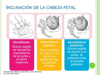 Pelvimetria pptx pelvimetria-pptx