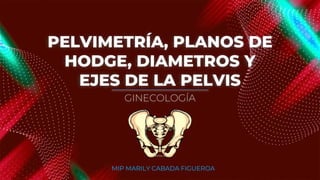 PELVIMETRÍA, PLANOS DE
HODGE, DIAMETROS Y
EJES DE LA PELVIS
MIP MARILY CABADA FIGUEROA
GINECOLOGÍA
 
