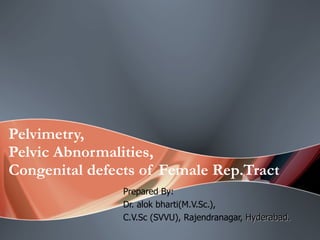 Pelvimetry,  Pelvic Abnormalities, Congenital defects of Female Rep.Tract Prepared By:  Dr. alok bharti(M.V.Sc.), C.V.Sc (SVVU), Rajendranagar,  Hyderabad. 