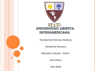 UNIVERSIDAD ABIERTA INTERAMERICANA  Facultad de Ciencias Medicas Anatomía Humana Miembro Inferior – Pelvis  Paez Elisse  Año 2010 