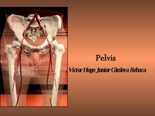 Pelvis  Victor Hugo Junior Córdova Rebaza 