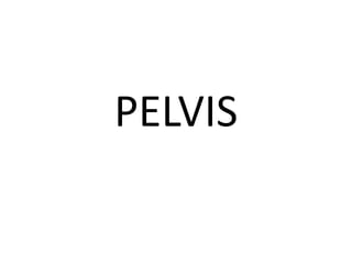 PELVIS
 