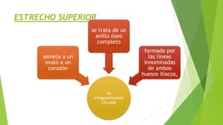 ESTRECHO SUPERIOR
se trata de un
anillo óseo
completo

formado por
las líneas
innominadas
de ambos
huesos iliacos,

semeja a un
ovalo a un
corazón

es
irregularmente
circular

 