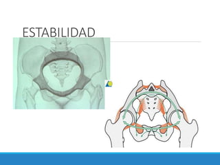ESTABILIDAD
 