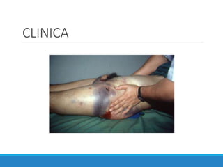 CLINICA
 