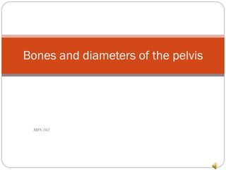 MPS 102 Bones and diameters of the pelvis 