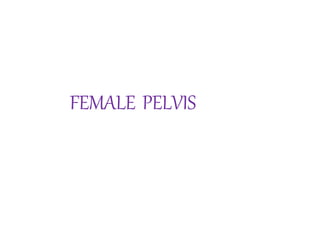 FEMALE PELVIS
 