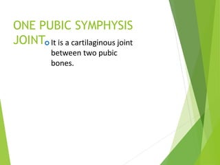 ONE PUBIC SYMPHYSIS
JOINT It is a cartilaginous joint
between two pubic
bones.
 