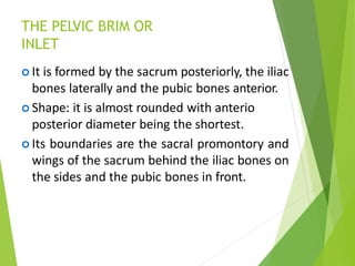 THE PELVIC BRIM OR
INLET
 It is formed by the sacrum posteriorly, the iliac
bones laterally and the pubic bones anterior.
 Shape: it is almost rounded with anterio
posterior diameter being the shortest.
 Its boundaries are the sacral promontory and
wings of the sacrum behind the iliac bones on
the sides and the pubic bones in front.
 