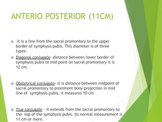 ANTERIO POSTERIOR (11CM)
 it is a line from the sacral promontory to the upper
border of symphysis pubis. This diameter is of three
types-
 Diagonal conjugate- distance between lower border of
symphysis pubis to mid point on sacral promontory it is
12 cm.
 Obstetrical conjugate- it is distance between midpoint of
sacral promontory to prominent bony projection in mid
line of symphysis pubis. it measures 10 cm
 True conjugate - it extends from the sacral promontory to
the top of the symphysis pubis. Its normal measurement is
11 cm or more.
 
