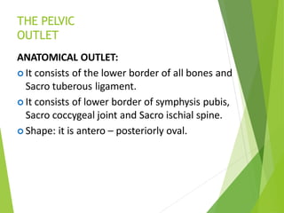 THE PELVIC
OUTLET
ANATOMICAL OUTLET:
 It consists of the lower border of all bones and
Sacro tuberous ligament.
 It consists of lower border of symphysis pubis,
Sacro coccygeal joint and Sacro ischial spine.
 Shape: it is antero – posteriorly oval.
 
