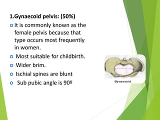 1.Gynaecoid pelvis: (50%)
 It is commonly known as the
female pelvis because that
type occurs most frequently
in women.
 Most suitable for childbirth.
 Wider brim.
 Ischial spines are blunt
 Sub pubic angle is 90º
 