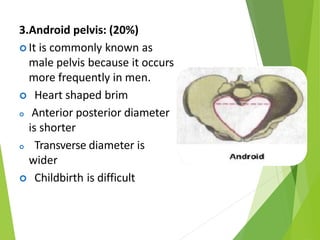 3.Android pelvis: (20%)
 It is commonly known as
male pelvis because it occurs
more frequently in men.
 Heart shaped brim
 Anterior posterior diameter
is shorter
 Transverse diameter is
wider
 Childbirth is difficult
 